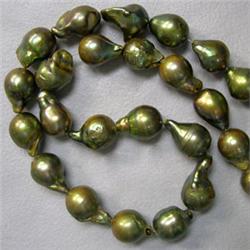 12x10 MM IRIDESCENT GREEN JAPANESE AKOYA PEARL STRAND - 16 INCHES