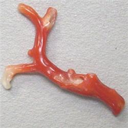 4.98 CTS NATURAL ITALIAN CORAL BRANCH 