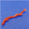 Image 1 : 4.66 CTS NATURAL ITALIAN CORAL BRANCH 45x5 MM