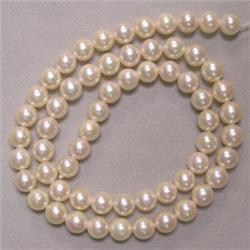 7 MM JAPANESE AKOYA PEARL STRING - 16 INCHES