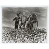 Image 2 : A Collection of (16) The Wizard of Oz Publicity Photos.