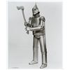 Image 7 : A Collection of (16) The Wizard of Oz Publicity Photos.