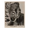 Image 2 : Collection of Monster Promotional Photos.