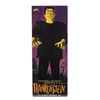 Image 2 : Set of (5) Universal Monster Plastic Model Kits.