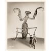 Image 2 : "The Deadly Mantis" Promotional Photos.