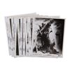 Image 1 : Godzilla Publicity Photos.