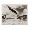 Image 7 : Rodan Publicity Photos.