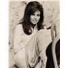 Image 2 : A Collection of (3) Raquel Welch Publicity Photos.