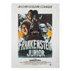 Image 1 : Young Frankenstein French One Sheet