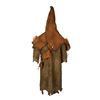 Image 7 : Goosebumps 2 Goblin Costume.