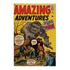 Image 2 : Amazing Fantasy #1-14.
