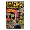 Image 3 : Amazing Fantasy #1-14.