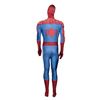 Image 2 : Universal Studios Spider-Man Walkaround Costume.