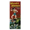 Image 1 : Wonder Woman Factory-Sealed Model Kit.