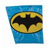 Image 6 : Batman Helmet & Cape by Ideal.
