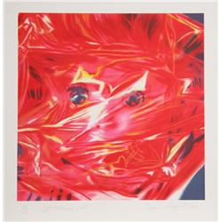 James Rosenquist, Doll, Lithograph 1993
