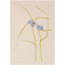 Leonard Baskin, Flower, Aquatint Etching