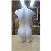 Image 3 : Mannequin Torso