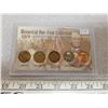 Image 1 : Historical One-Cent Collection. 1939 Years of American Coinage. Includes Indian Head, Lincoln Wheat,