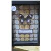 Image 1 : Framed Butterfly