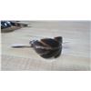 Image 4 : 3 Indigenous carved Bone hair bun holders