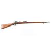 Image 1 : Springfield Model 1884 .45-70 SN: 365452