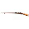Image 2 : Springfield Model 1884 .45-70 SN: 365452