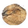 Image 3 : Indian Hide Beaded Shield