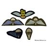 Image 1 : Lot of British Para / Air Related Patches