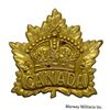 Image 4 : WW1 CEF General Service Cap Badges