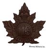Image 1 : WW1 CEF 116th Battalion Cap Badge