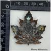 Image 2 : WW1 CEF 123rd Battalion Cap Badge