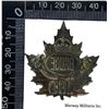 Image 2 : WW1 CEF 160th Battalion Cap Badge
