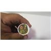 Image 3 : Unopened Roll of 25 1896 – 2021 Klondike Coloured Loonies. Coloured Red Moose. Nice.