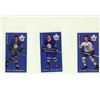 Image 8 : 8 Pages (3 cards per page) of Assorted Hockey cards