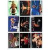 Image 8 : 4 Pages (Approx 72 cards), of WWE Wrestler & PPV cards