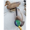 Image 2 : 4 Stormfront  decoy ducks with weights. 2 male, 2 female