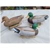 Image 3 : 3 Stormfront decoy ducks with weights. 2 male, 1 female
