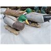 Image 4 : 3 Stormfront decoy ducks with weights. 2 male, 1 female