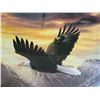 Image 3 : Framed majestic Bald Eagle print by Ronnie Hedge. 20” H X 23” W