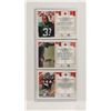 Image 2 : Lot of 3 Saskatchewan Roughriders Sports Cards. Roger Aldag, Donald Narcisse & Lucius Floyd. 1992 AW