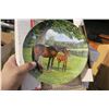 Image 2 : lot of 7  decorative plates #1-7 (horses)