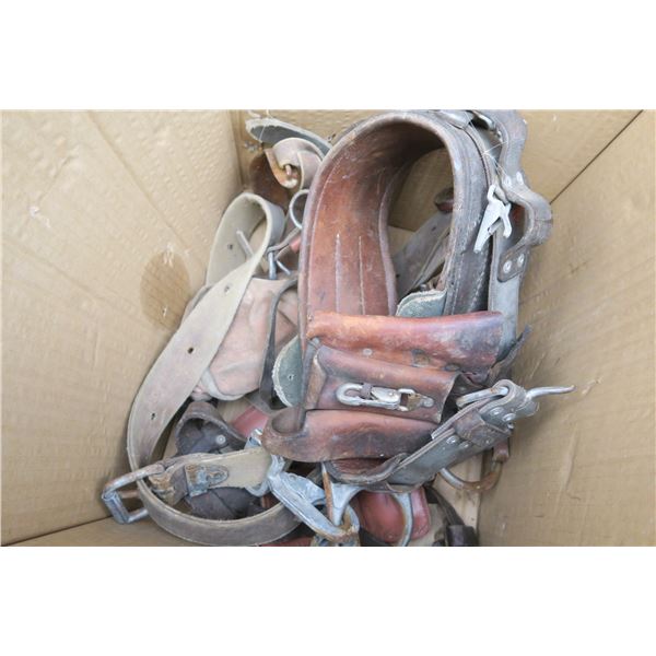 Misc tool belt with tree climbing spurs.