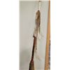 Image 4 : First Nations Spear 74" long