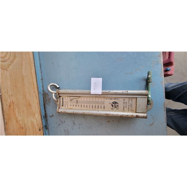 Weight Scale 300 Pound Hanson