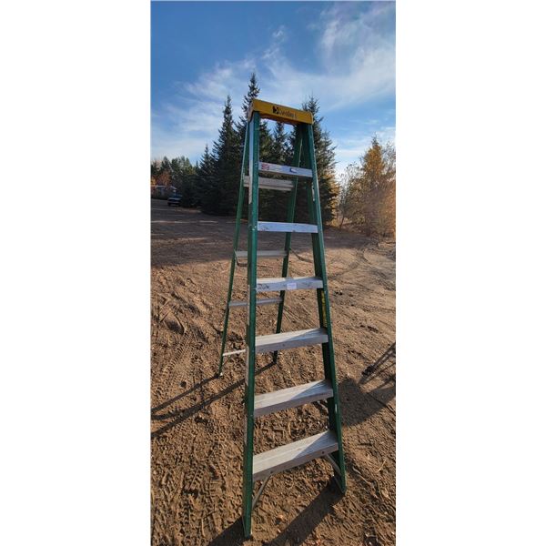 Ladder 7 ft