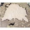 Image 2 : Buffalo Hide 64" long x 70" wide (add 24" for tail)