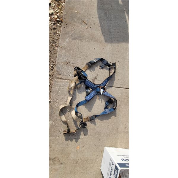 Safety Harness - Blue