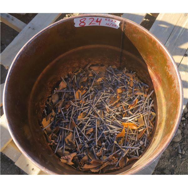 Pail of Nails
