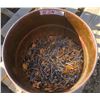 Image 1 : Pail of Nails
